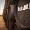 Barbadillo