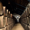 Interior bodegas José Mellado Martín