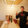 Wine experiences with passion and fun.
