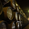 Bodegas Osborne