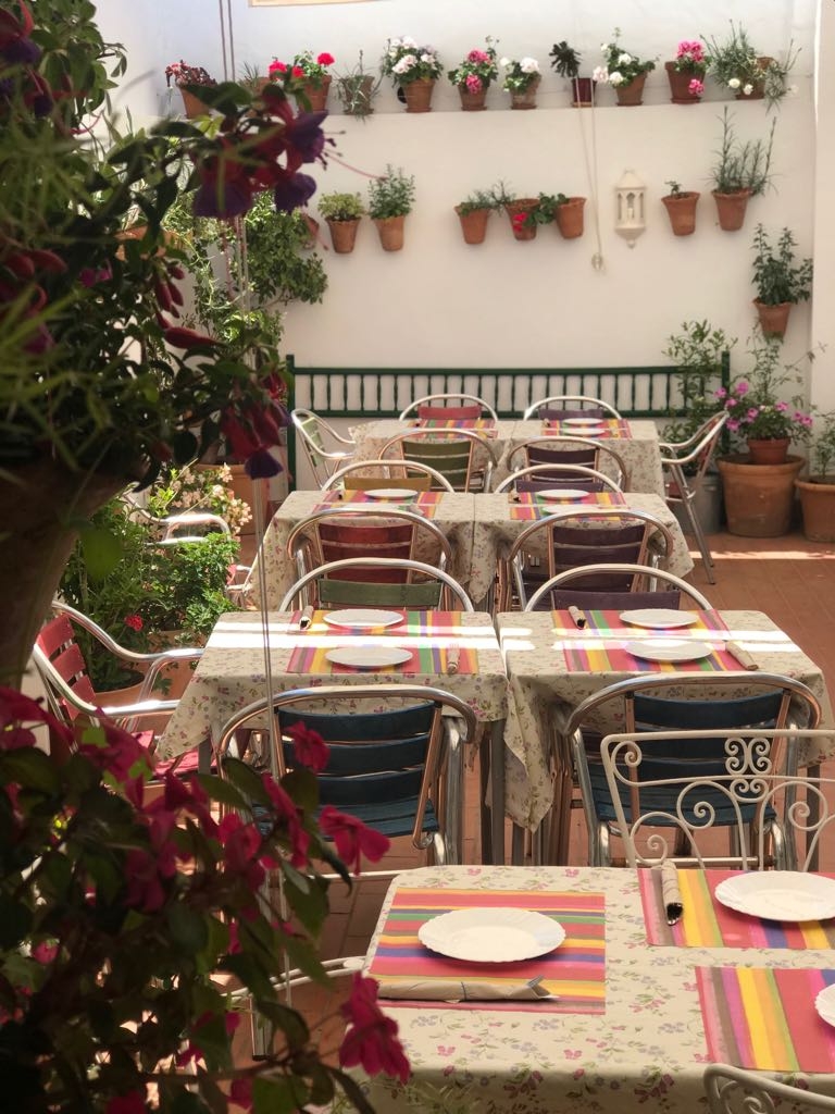 La primavera en nuestra azotea
